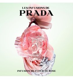 Rose Infusion - Eau de Parfum Rose Infusion - Eau de Parfum